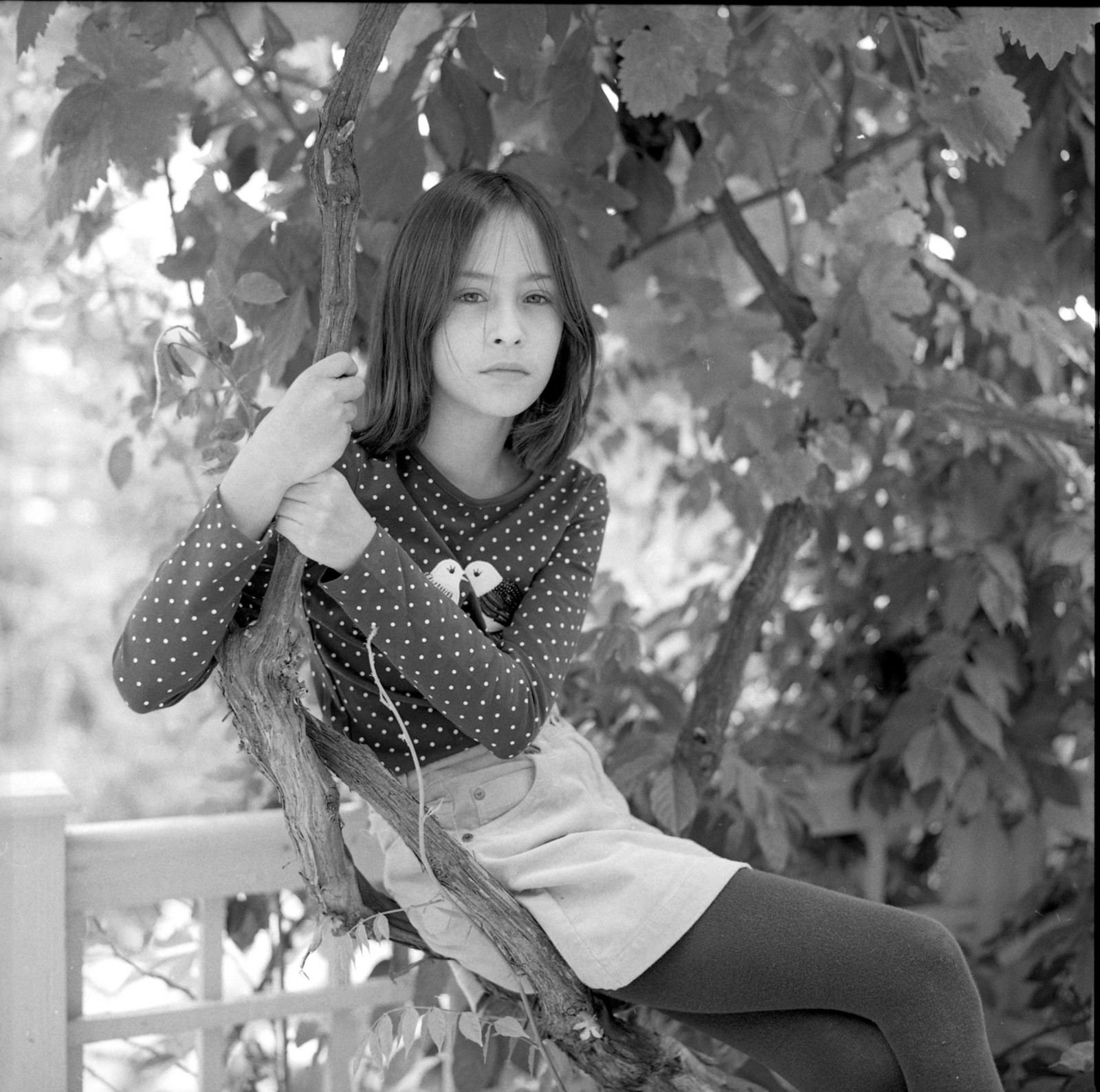 Woman seated beneath leafy branches